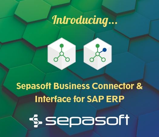 Introducing Business Connector and Interface for SAP ERP